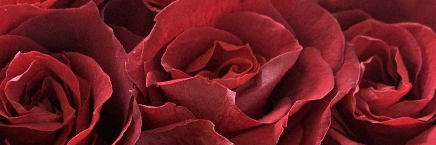 JacqueDeluxe's profile banner image