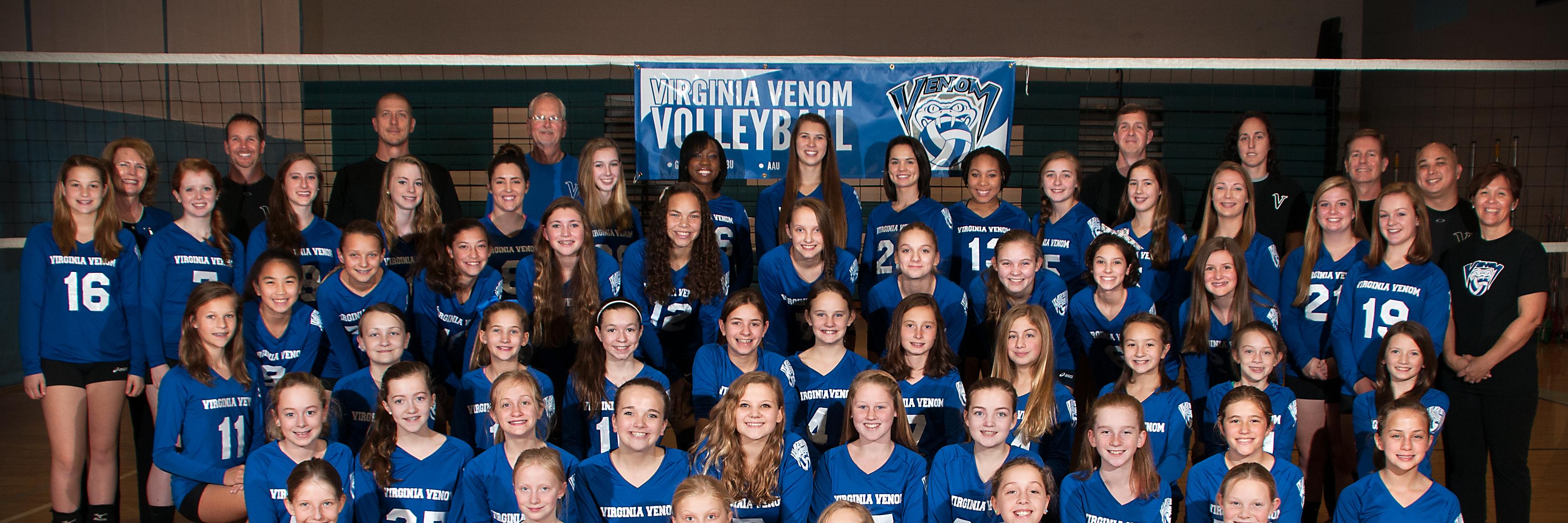 virginiavenomvb's profile banner image
