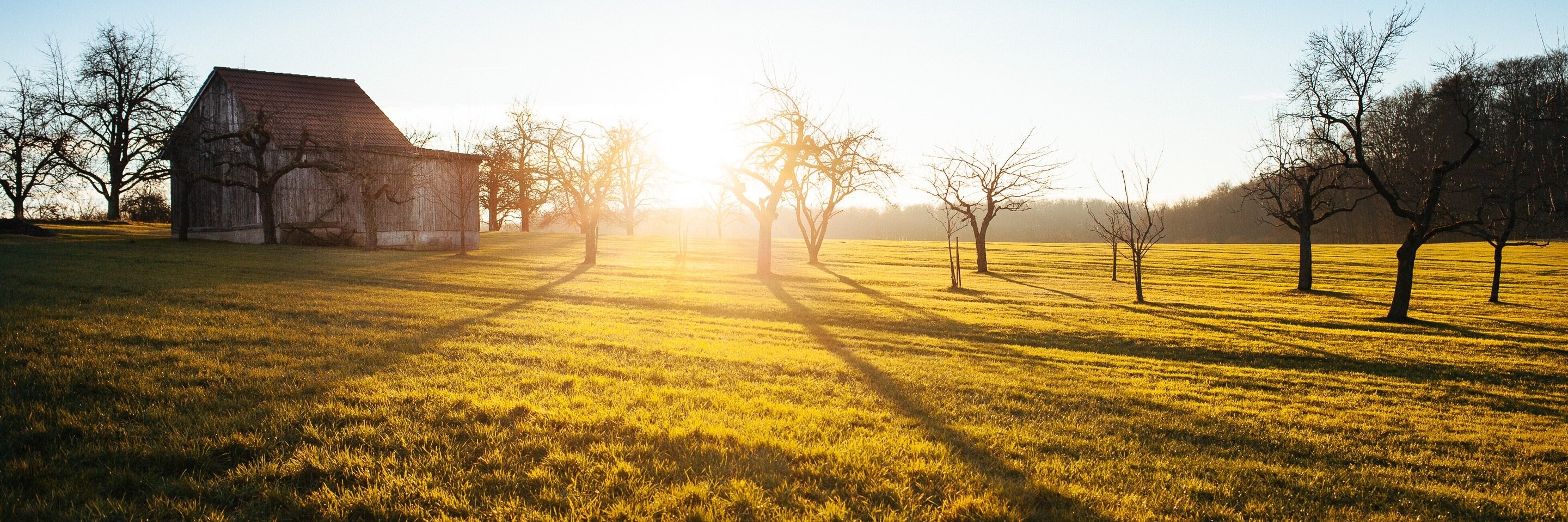 Manuel Klarmann banner