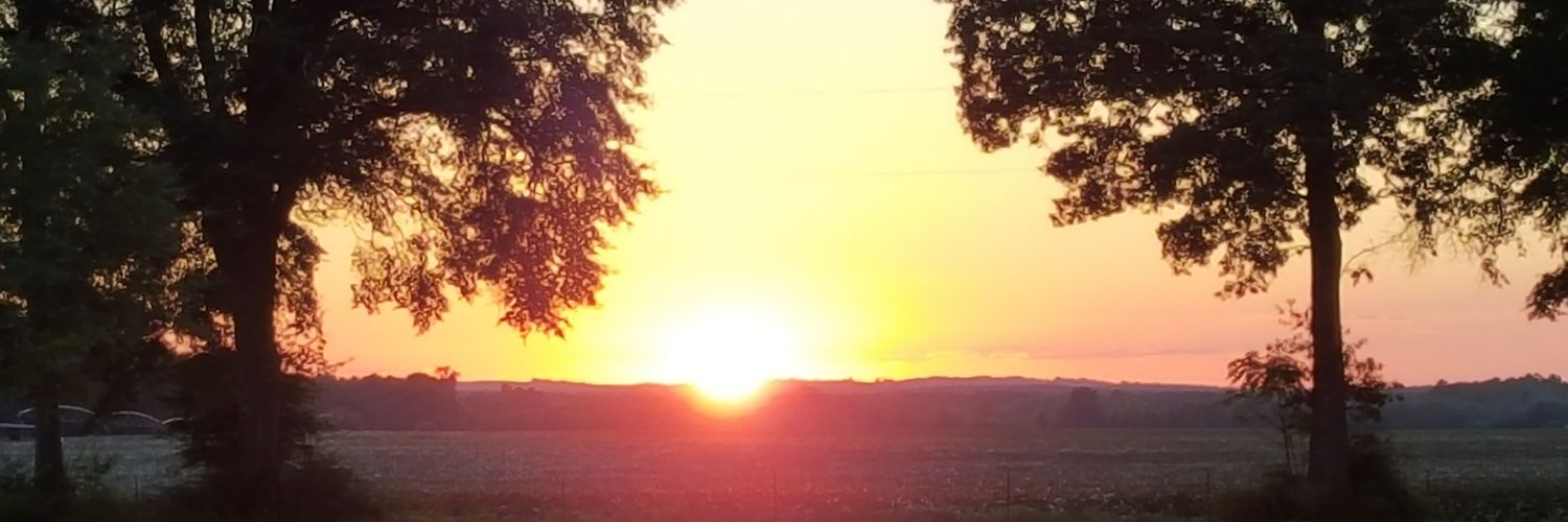 dyode76's profile banner image