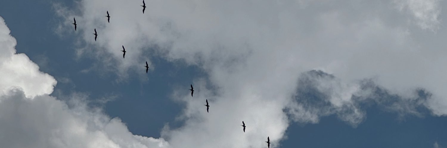 AMWoerner's profile banner image