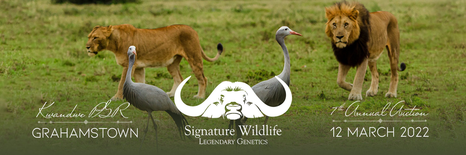 SigWildlife's profile banner image