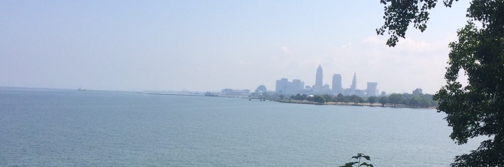 kubitzawrites's profile banner image