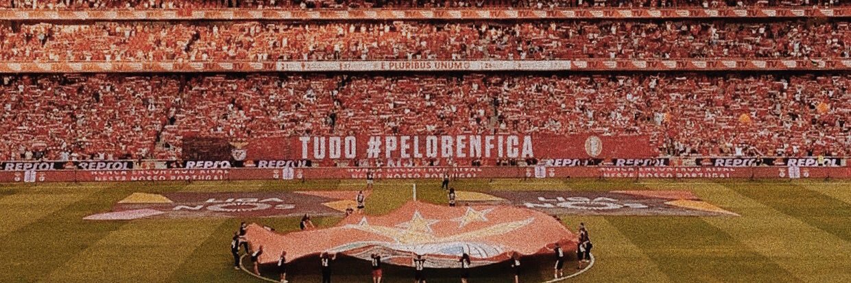 carolgca's profile banner image