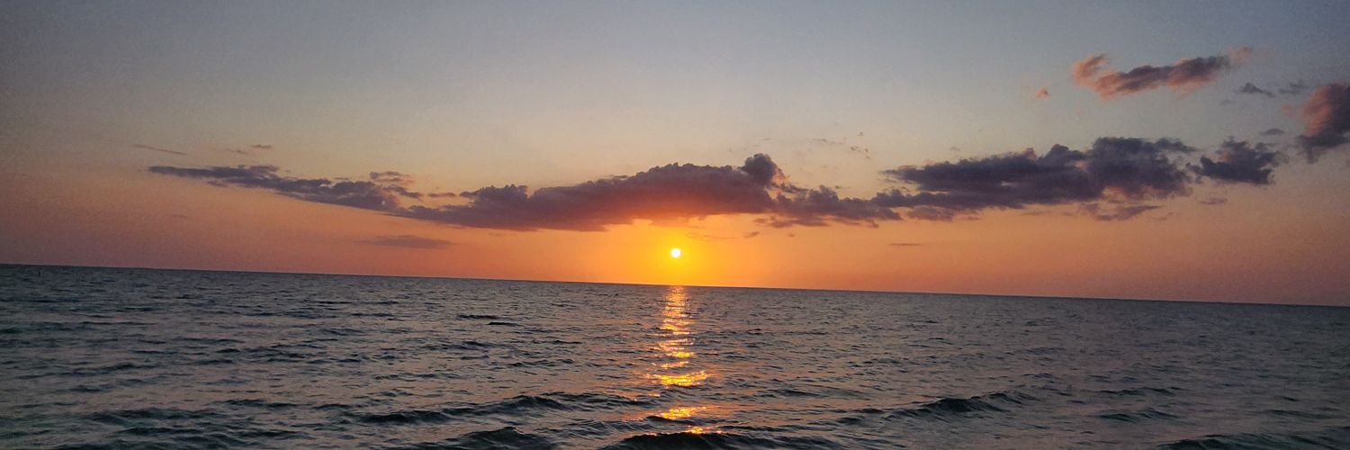 GermiiDaSilva's profile banner image