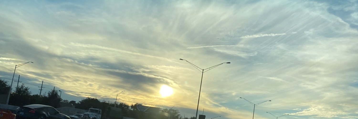 DamiettaB's profile banner image