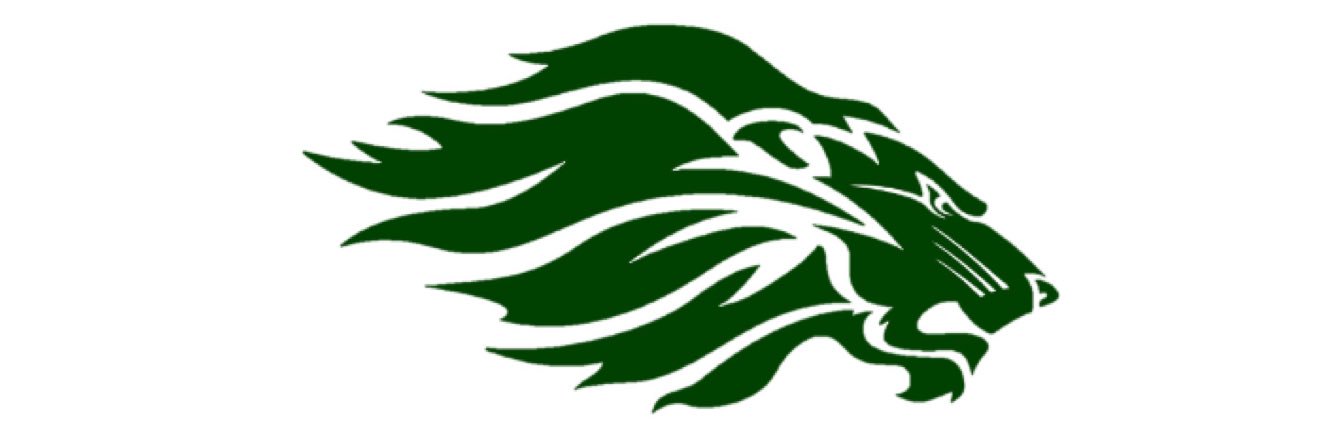 BorahHighLions's profile banner image