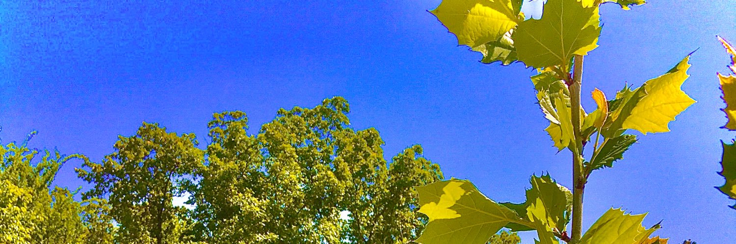 Unisixle's profile banner image