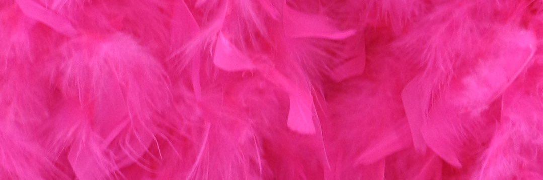 Nymphodiariesxo's profile banner image