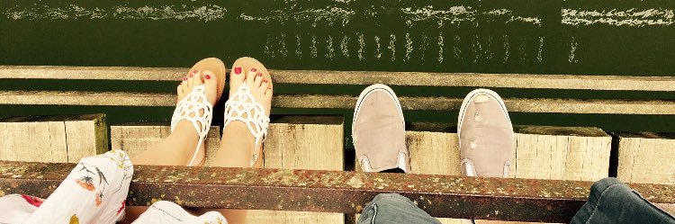 EvaCook1's profile banner image