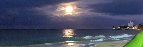 polynektar Profile Banner