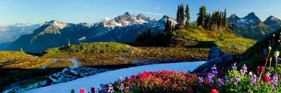 julibutterworth's profile banner image
