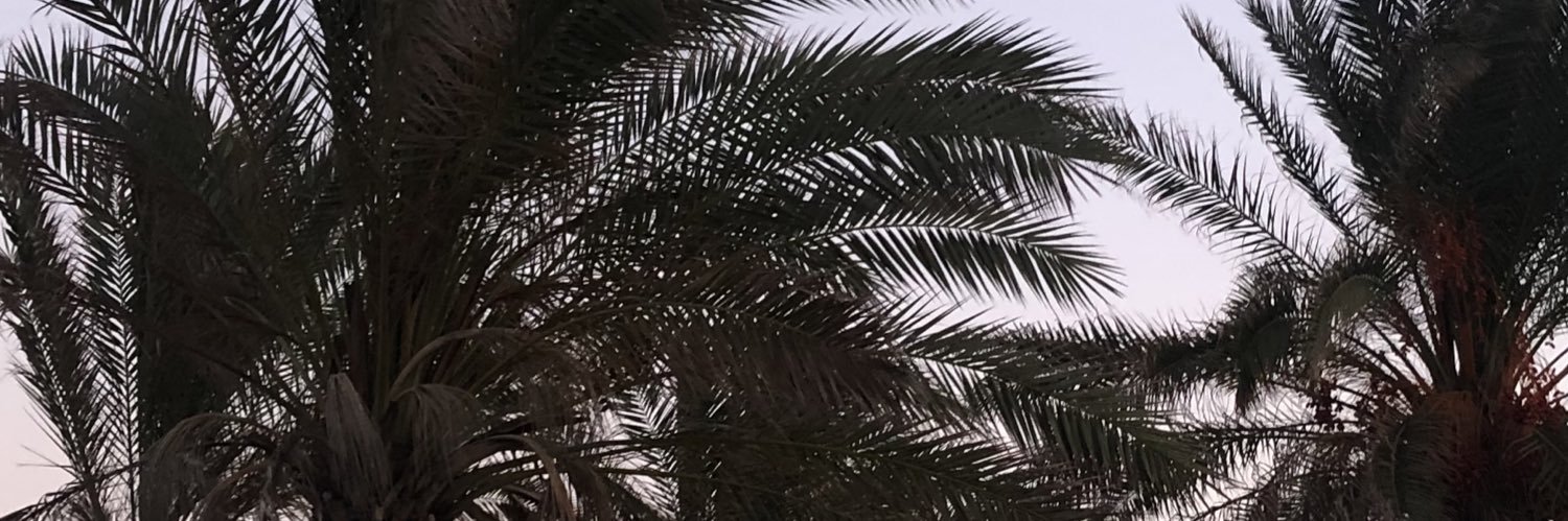 seerranoalba's profile banner image