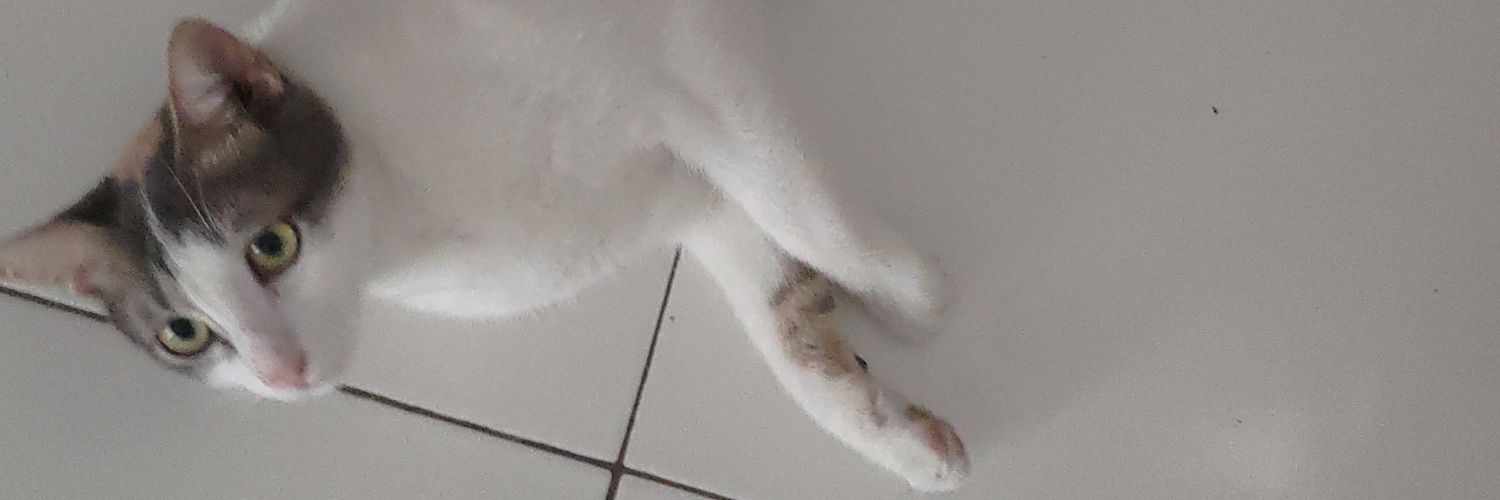 baaaeeem1's profile banner image