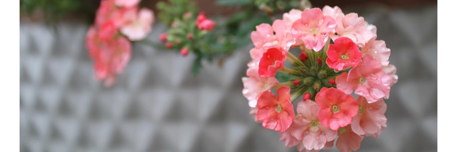 ThisGurrrrl's profile banner image