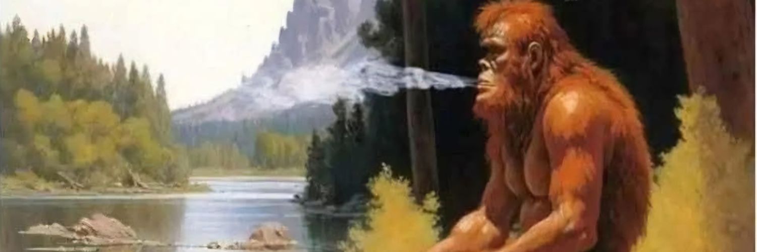 huntercotton13's profile banner image