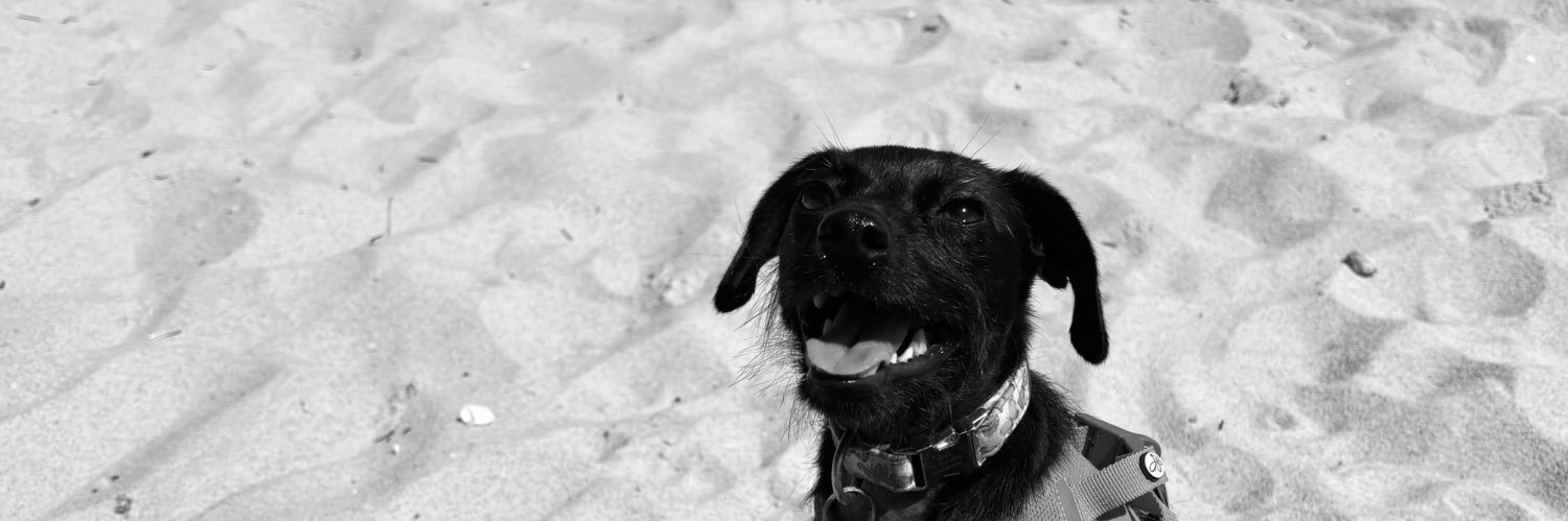 Robert Alvarez banner