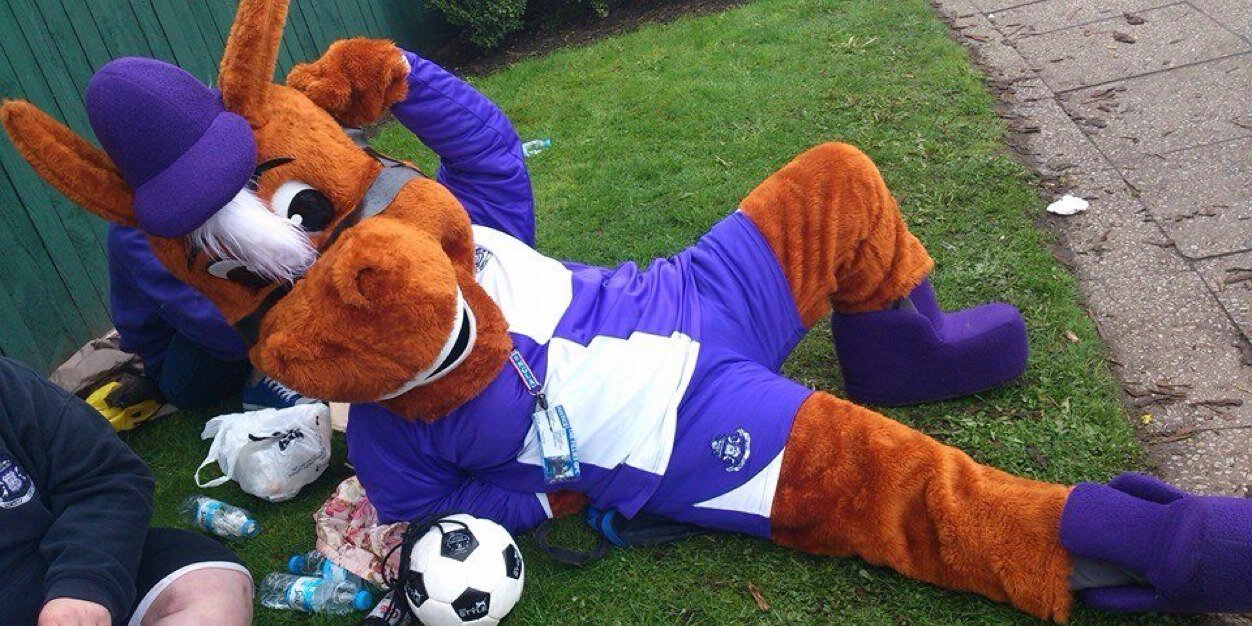 TheFilliesGFC's profile banner image