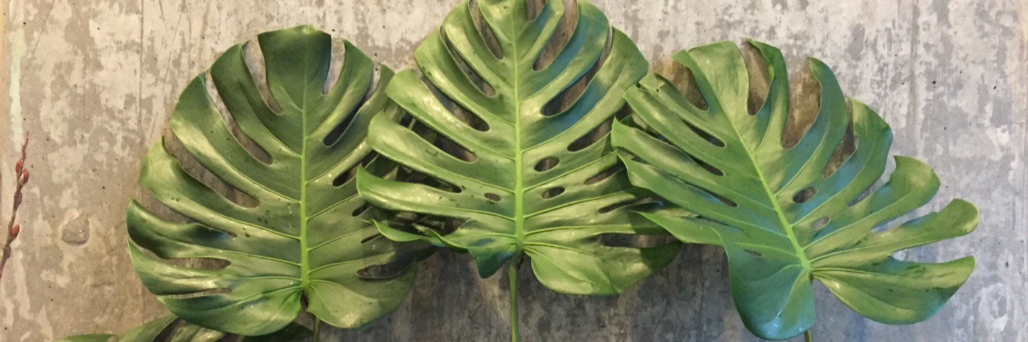 GiffordsWedding's profile banner image