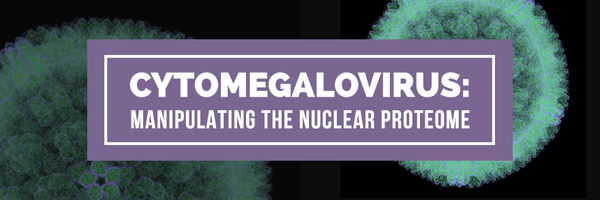 TerhuneLab Profile Banner