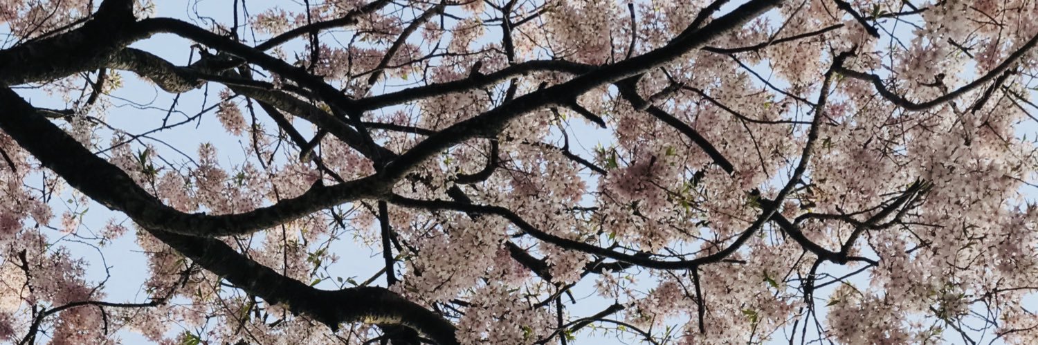 to banner