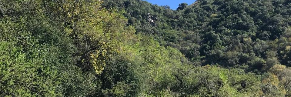 _marialuz12's profile banner image