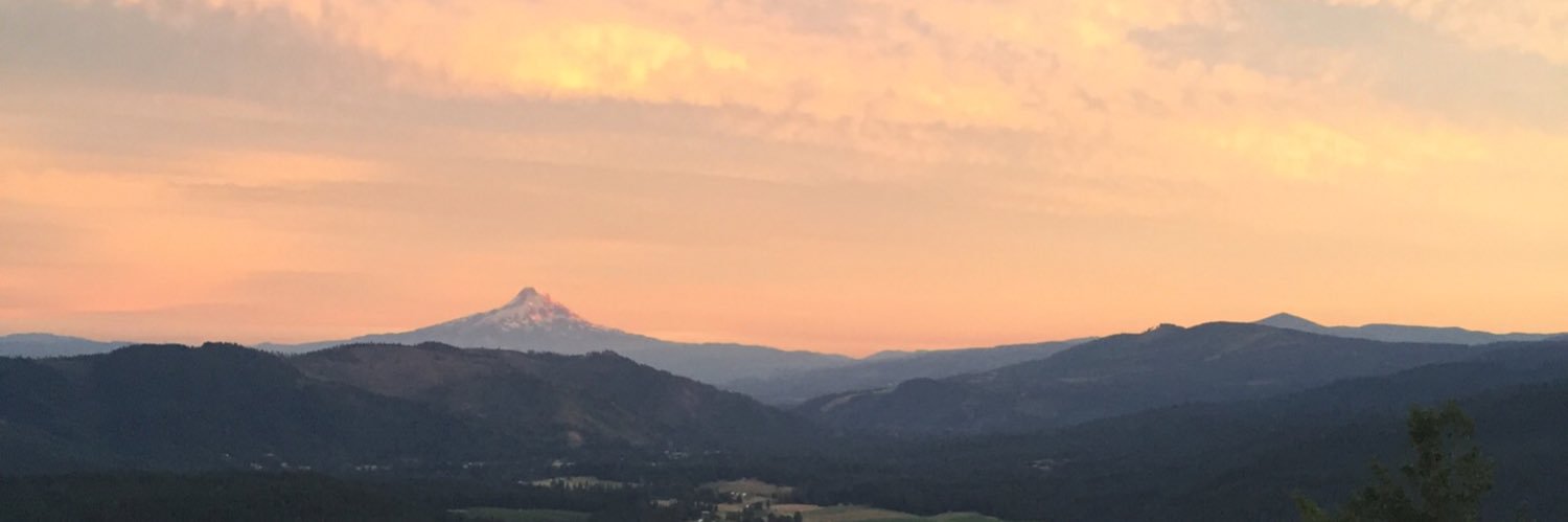 mloveridge__'s profile banner image