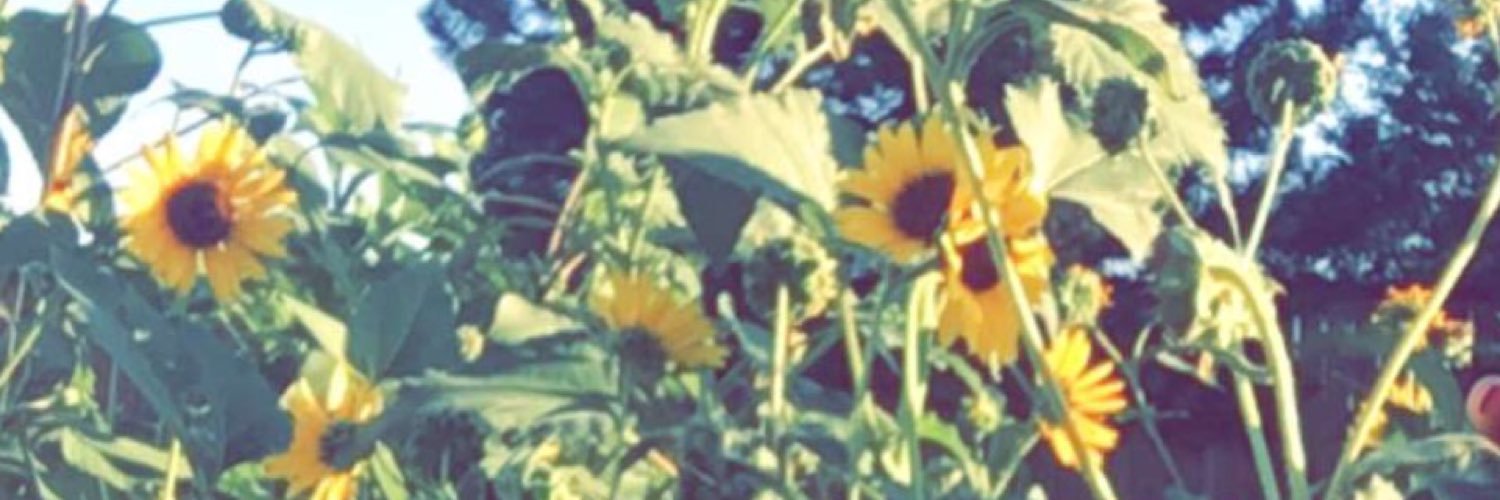 AshRidenour's profile banner image