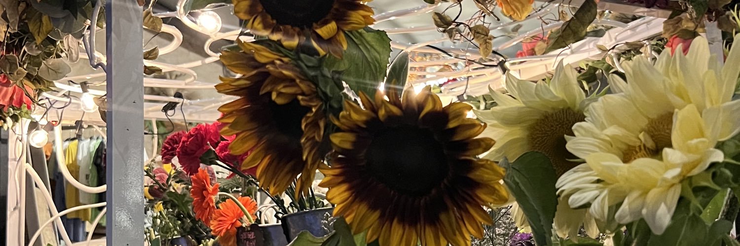 isacainas's profile banner image