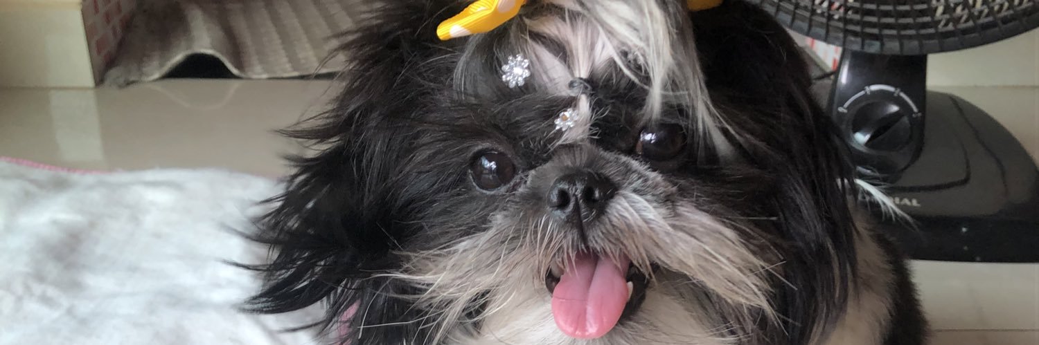 Mila_Pinheiro4's profile banner image