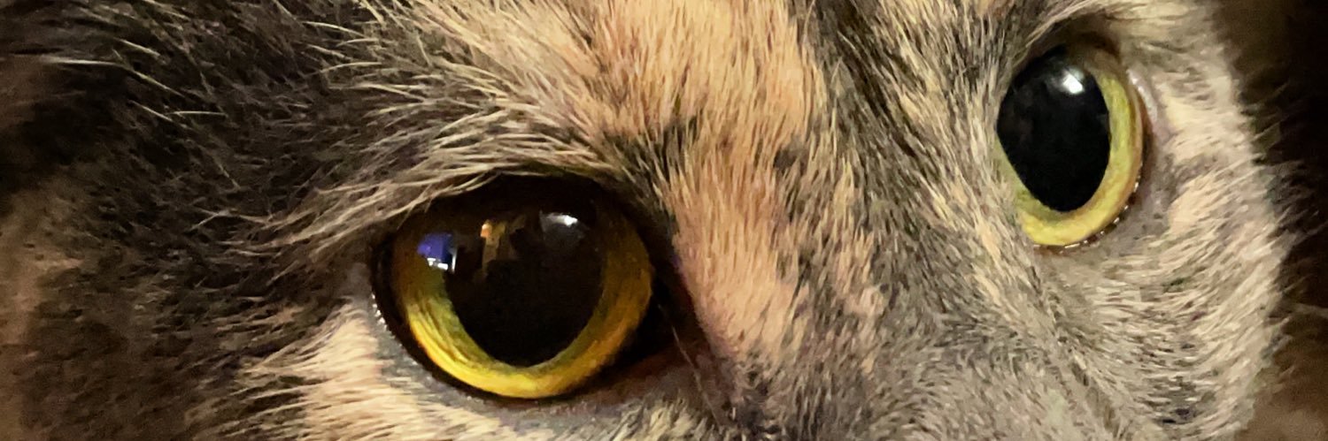 DistractedTech's profile banner image