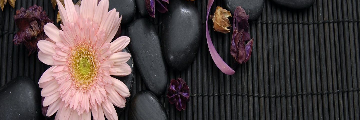 GoGaYa2's profile banner image