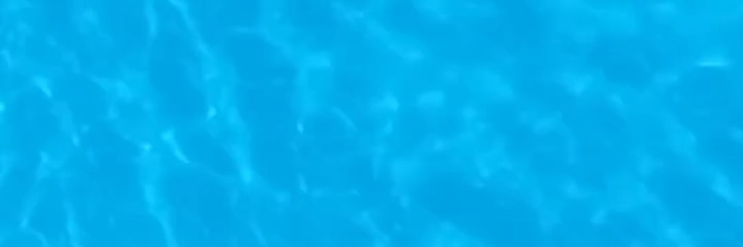 leonorafonso47's profile banner image