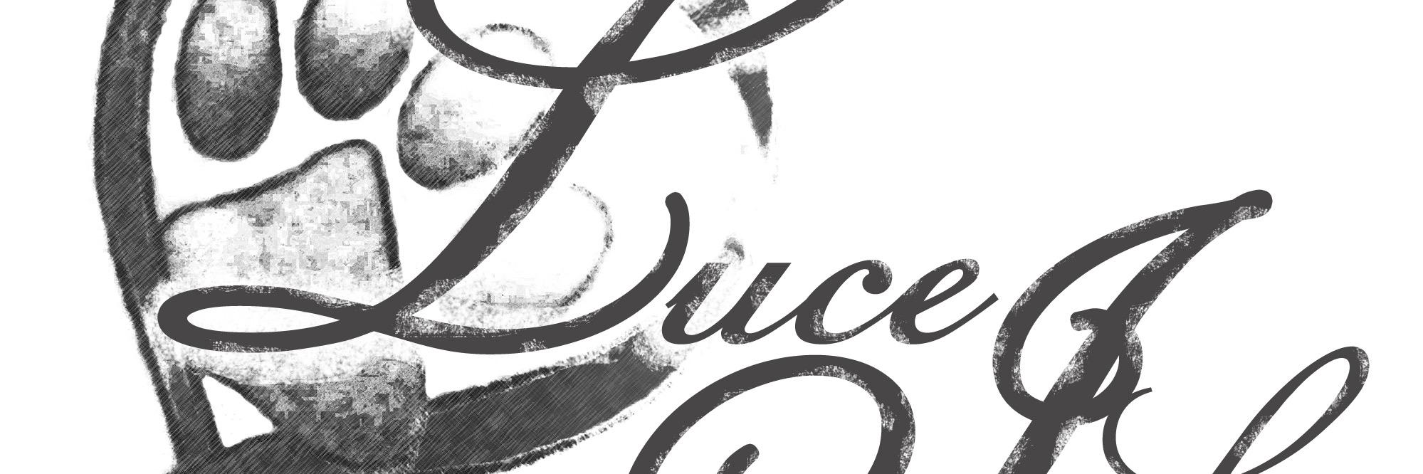 LuceInk's profile banner image