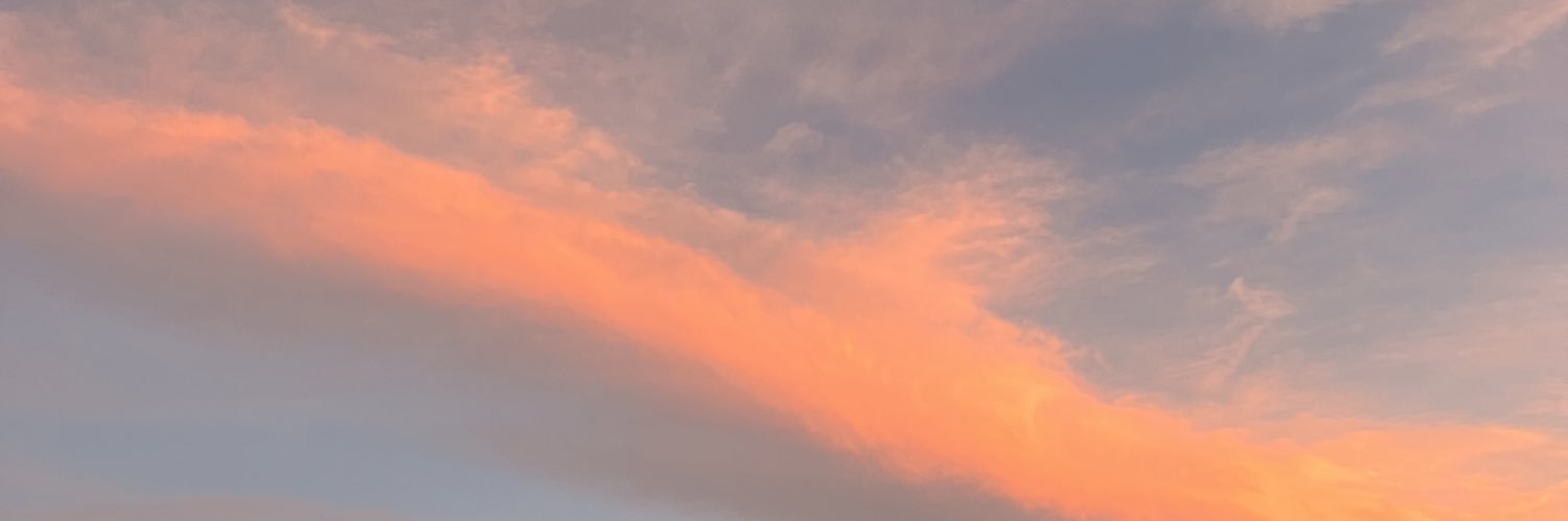 haileyycorpee's profile banner image