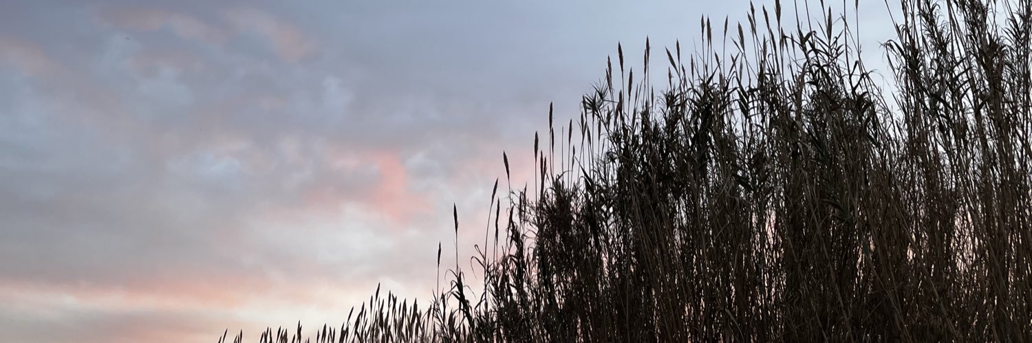 manguito01_'s profile banner image