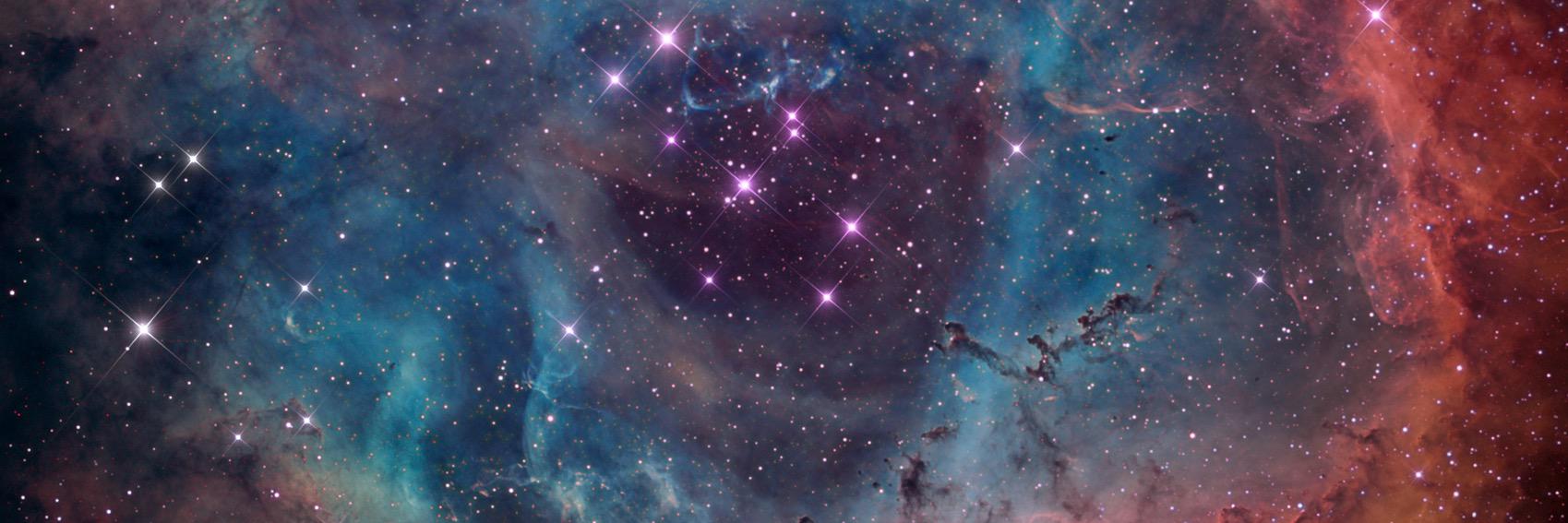 Traveling Exhibits banner