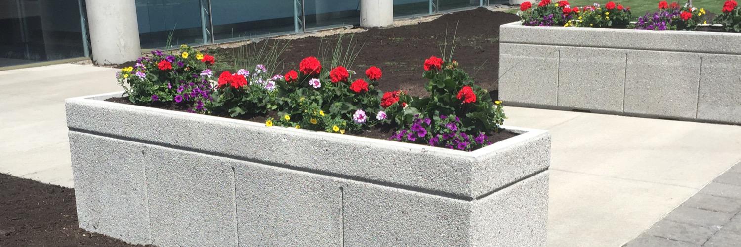 Debbie Vieira banner