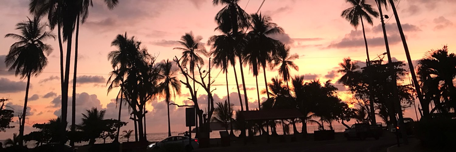 BreannaCalvani's profile banner image