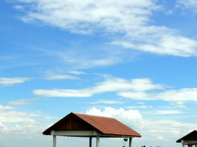 nwondical's profile banner image