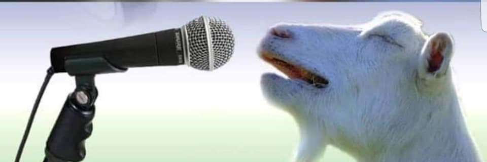 darrienjamess's profile banner image