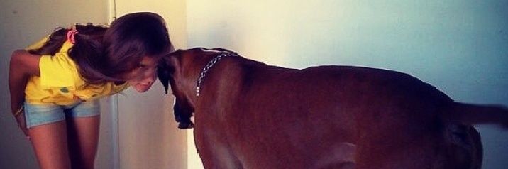 baudojulia1's profile banner image