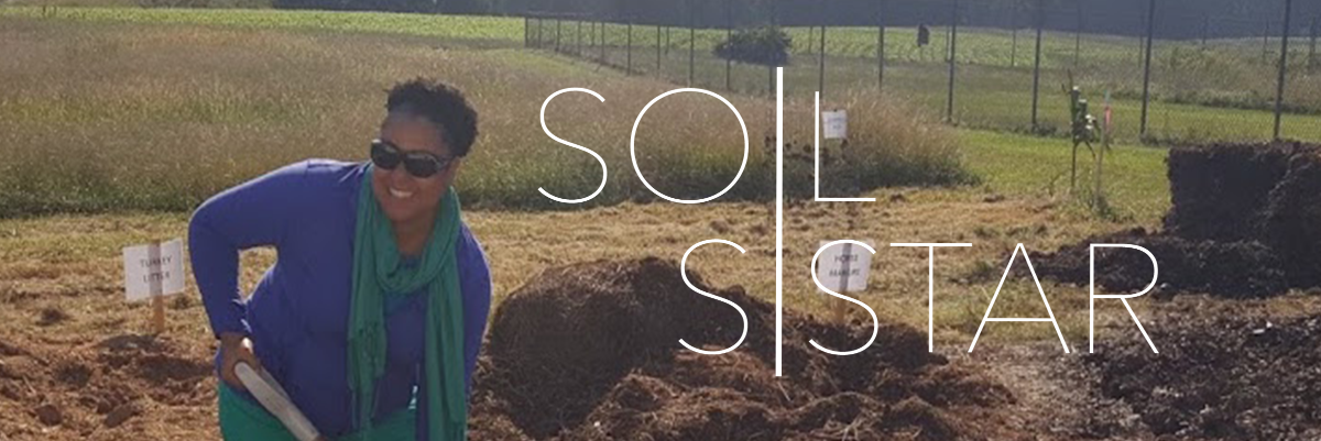 SoilSISTAR's profile banner image