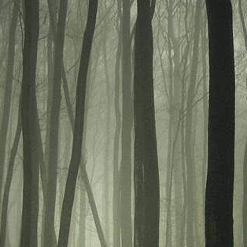 mphunft's profile banner image