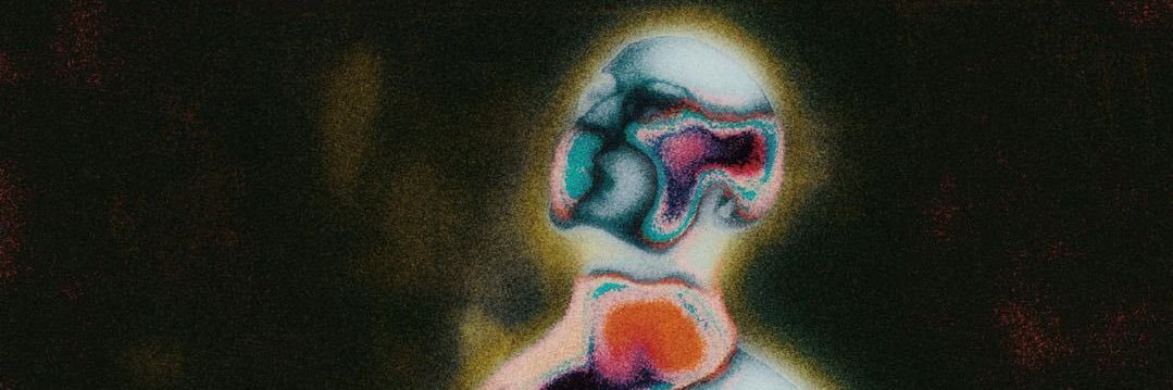 overrattedddd's profile banner image