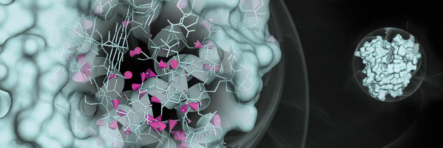 Biophysical Journal's banner
