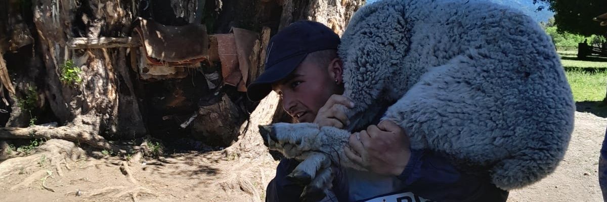 mellado__'s profile banner image