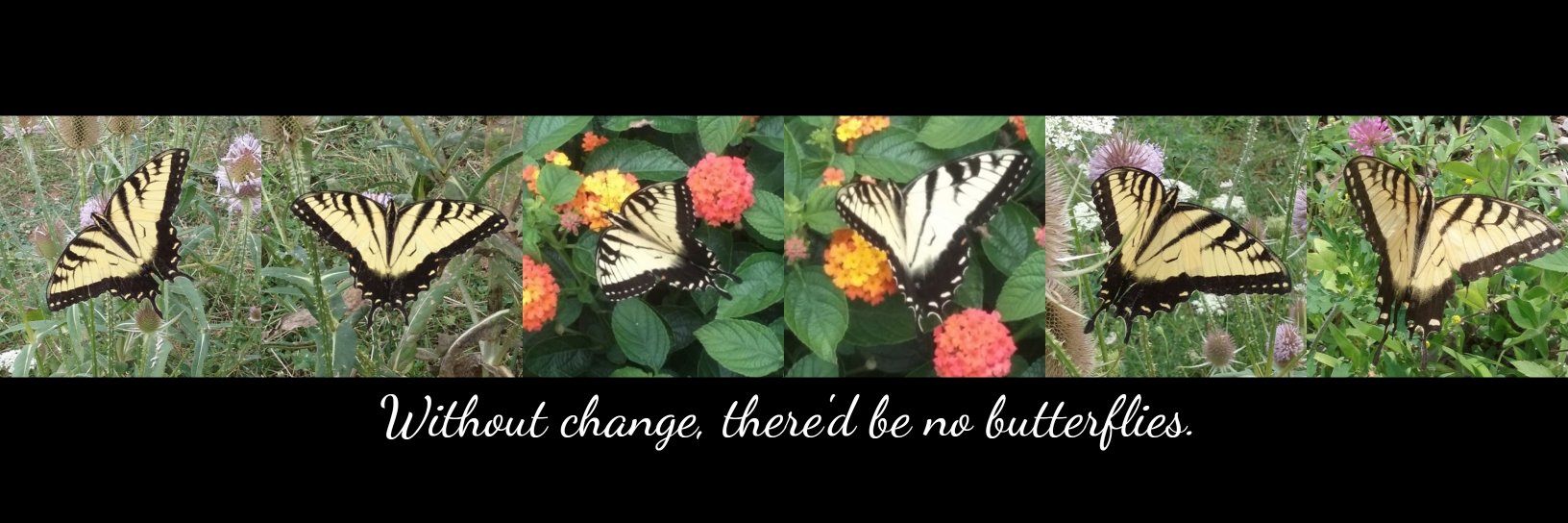 🖤😈Twisted Chris-ter😈🖤 banner