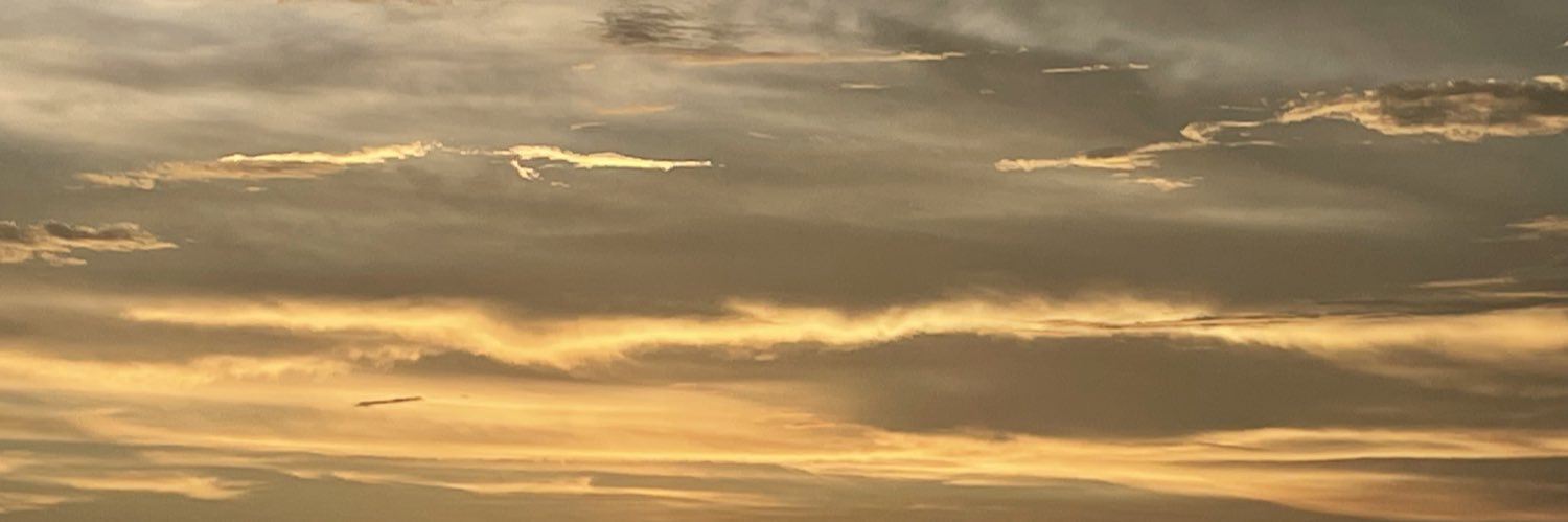 Edilia De La Vega banner