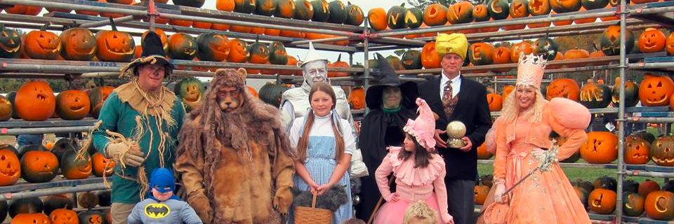 PumpkinFest2015's profile banner image